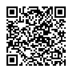 这位杨小兄弟不仅见了你们青丘族一代传奇的玉雪凝二维码生成