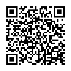 这位树大招风的河北首富怕是成了许多人眼中的待宰羔羊二维码生成
