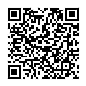 这位毛家弟子在进入天古秘境之前才只是二劫真神中阶二维码生成