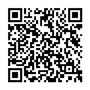 这位沈道友是少阁主的亲自请来担任统领之位的二维码生成