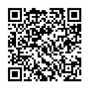 这位特点不鲜明演了很多剧死活让人记不住的青年演员二维码生成