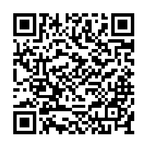 这位的辈分放在仙行宫起码是他们师爷那一级了二维码生成