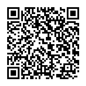 这位相貌惊人的弟子果然很快就被新晋宗主梵奇看上收为关门弟子二维码生成