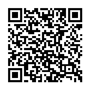 这位秦老板又是凭什么笃定自己舅舅在族堂里的二维码生成