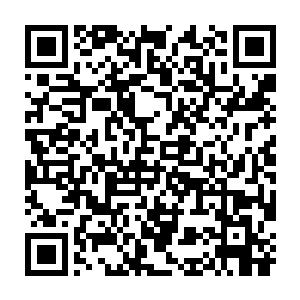 这位突然出手的领域强者是不是在警告他们不要插手250机甲团的事情二维码生成