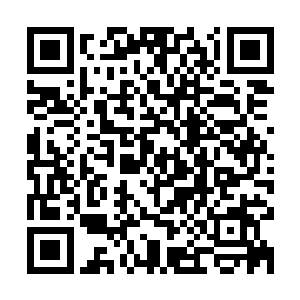 这位童星出身的小女孩早早就达到了演员生涯的第一个辉煌巅峰二维码生成