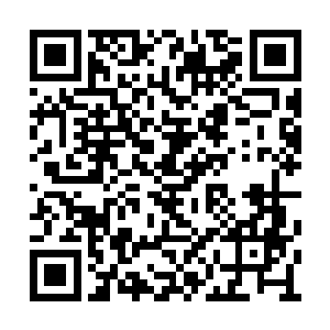 这位米勒叔叔一直因为无法继承领地而仇视父亲二维码生成