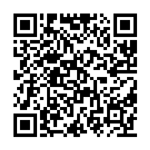 这位美女也在追看本书并且十分关心本书的进展二维码生成