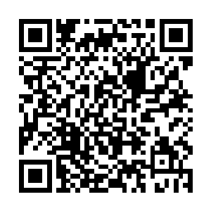 这位老头仅仅只是平阳城天杀分部一个守门的小老头二维码生成