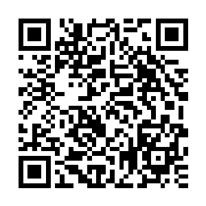 这位老者张东城在去年的奥斯卡典礼上曾和对方有过一面之缘二维码生成