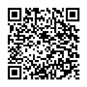这位苏姑娘绝对是外界来底蕴深厚的隐世家族里的小姐二维码生成
