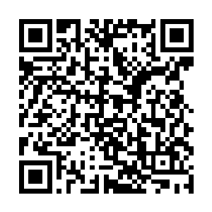 这位血族实际上的第二强者被公认有登顶圣山的希望二维码生成