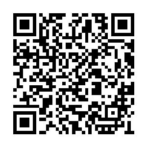 这位让无数北莽权贵都感到毛骨悚然的影子宰相二维码生成