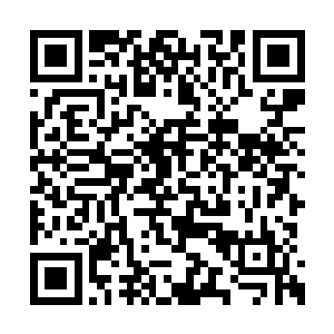 这位跟苏落一起呆过踏雪无痕墨角腾云兽的地盘二维码生成