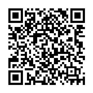 这位钟少一看到心中的偶像激动得连自己是谁都忘了介绍了二维码生成