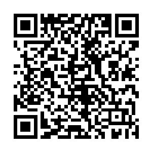 这位陈大师在几个村里人的陪同下一起到了金美凤的面前二维码生成