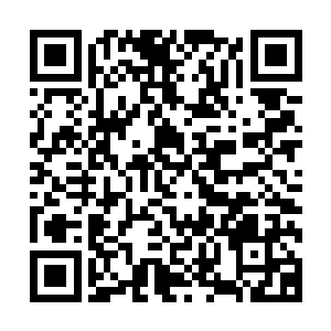 这位雪女小朋友还十分自觉的抱着小胖子在她的漂亮裙子上面二维码生成