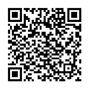 这位龙虎山小天师年幼时被公认能够一目十行且过目不忘二维码生成