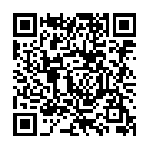 这使得自由之都在成为最负盛名的杀戮之地的同时二维码生成