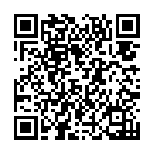 这使用血祭之术时所割裂的灵魂几乎是不可修复的二维码生成