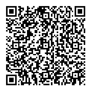 这便是石母的功效 在远古时期 石母的存在都是顶级炼器材料 柔而坚韧 不管是炼制武器还是铠甲 都是数一数二的矿石材料二维码生成