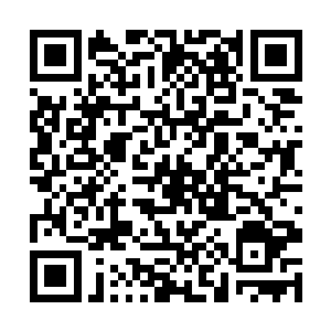 这便是神魂之镜无法搜索到我斩杀邪傲天记忆的原因二维码生成