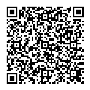 这俩位从s2便开始活跃于英雄联盟赛场有着近千盘比赛经验的老牌选手都还没有想明白到底发生了什么事二维码生成