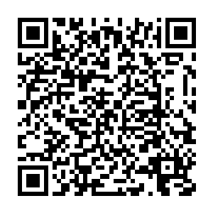 这俩格鲁和马切诺都是当初一直跟着巴克从棉兰老岛打到旺达镇的二维码生成