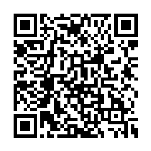 这修为差距的巨大悬殊注定了孩子们无法去抵抗二维码生成