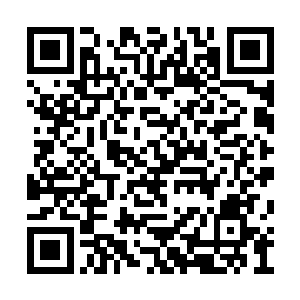 这倪道溪老儿说不定是找到了鳄蛟王的藏宝洞府二维码生成