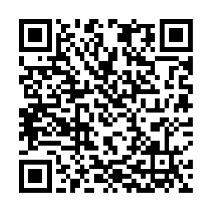 这做法……而且对方看起来最多只能做个血型融合分类二维码生成