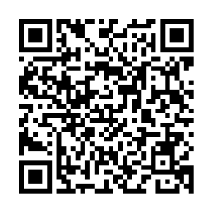 这傀儡大师背后的血家家主和法界宗掌门都是大吼一声二维码生成