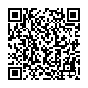 这儿被莱昂纳多无意中杀害的女孩会被他扒个精光二维码生成