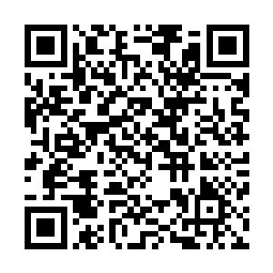 这充满了写意色彩的画布就被一只充满暴力的大手一拳轰碎二维码生成