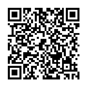 这光芒居然开始慢慢的在旁边描绘出来了这骨片残缺的幻象二维码生成