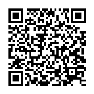 这八个字仿佛一盆凉水从袭灭月几人的头顶毫不留情的浇灌而下二维码生成