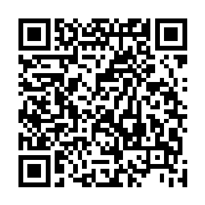 这六人就是上次离京前与李姝还有包子小丫鬟郊游踏春时二维码生成