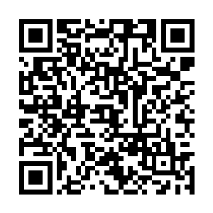 这六成可不止是我为你们争夺交易灵殿的报酬……二维码生成