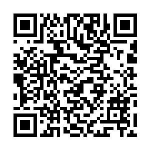 这其中一半以上地阶育灵被张靓当场炼化成了地阶引灵丹二维码生成