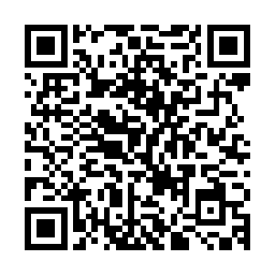 这其中也有一旁冯娜这位一看就知道是有钱太太身份的人的关系二维码生成