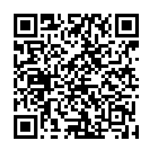 这其中最厉害的就是一个叫阿力的和刚才被你气走的齐帅二维码生成