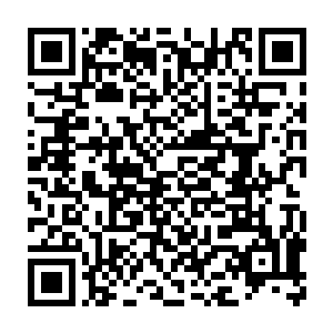 这其实就是这些个官员们想借此机会来在内阁的诸位大人跟前露脸二维码生成