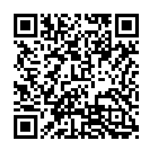 这具傀儡是仿照黑暗巨人这一特殊生物炼制而成二维码生成