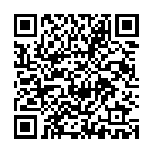 这准至尊法阵凝聚出来的攻伐光柱凡人无法揣测其威力二维码生成