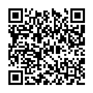 这几个人之中修为最强的也只是一个登天七重中期二维码生成
