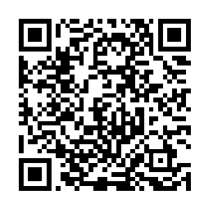 这几个人都是在萨赫勒地区颇有影响力的武装分子头目二维码生成