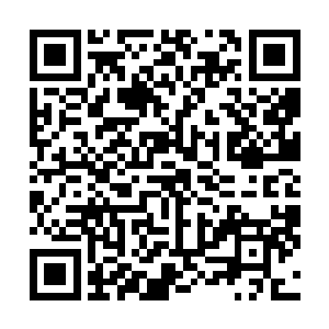 这几个家伙就算是出来混最起码也得找一个靠谱的老大吧二维码生成
