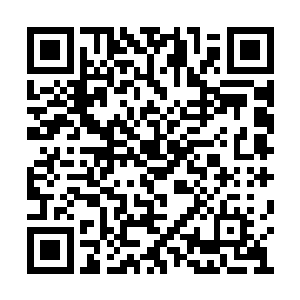 这几个小时你渔获涨的钱都够在这里住一年的了二维码生成