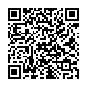 这几个层级的大比没有让太虚宗包揽各个层级的前十名二维码生成