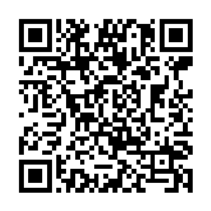 这几个月我都得向你蹭吃蹭喝了……你可得负责任啊二维码生成